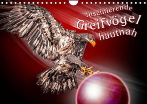 Faszinierende Greifvögel hautnah (Wandkalender 2023 DIN A4 quer) von Gödecke,  Dieter