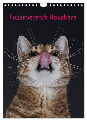 Faszinierende Haustiere (Wandkalender 2024 DIN A4 hoch), CALVENDO Monatskalender von von der Heyde,  Wiebke