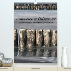 Faszinierende Ostseeküste (Premium, hochwertiger DIN A2 Wandkalender 2021, Kunstdruck in Hochglanz) von Kürvers,  Gabi
