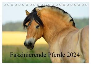 Faszinierende Pferde 2024 (Tischkalender 2024 DIN A5 quer), CALVENDO Monatskalender von Ludwig,  Sandra