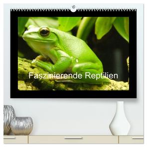 Faszinierende Reptilien (hochwertiger Premium Wandkalender 2024 DIN A2 quer), Kunstdruck in Hochglanz von Herkenrath,  Sven