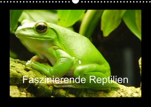 Faszinierende Reptilien (Wandkalender 2023 DIN A3 quer) von Herkenrath,  Sven