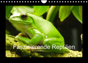 Faszinierende Reptilien (Wandkalender 2023 DIN A4 quer) von Herkenrath,  Sven