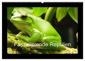Faszinierende Reptilien (Wandkalender 2024 DIN A2 quer), CALVENDO Monatskalender von Herkenrath,  Sven