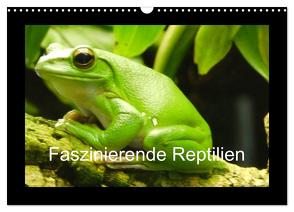 Faszinierende Reptilien (Wandkalender 2024 DIN A3 quer), CALVENDO Monatskalender von Herkenrath,  Sven
