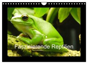 Faszinierende Reptilien (Wandkalender 2024 DIN A4 quer), CALVENDO Monatskalender von Herkenrath,  Sven