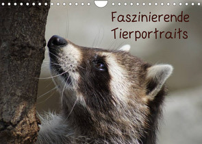 Faszinierende Tierportraits (Wandkalender 2023 DIN A4 quer) von kattobello