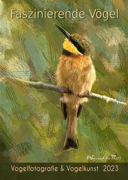 Faszinierende Vögel – Kalender 2023 (A3 Format) von Wynand,  du Plessis