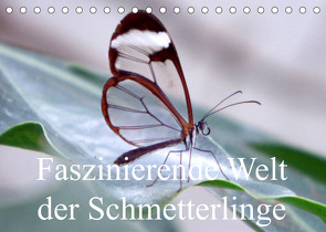 Faszinierende Welt der Schmetterlinge (Tischkalender 2023 DIN A5 quer) von Pocketkai