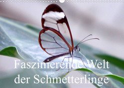 Faszinierende Welt der Schmetterlinge (Wandkalender 2023 DIN A3 quer) von Pocketkai