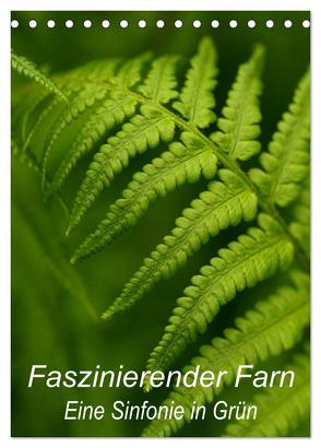 Faszinierender Farn – Eine Sinfonie in Grün (Tischkalender 2024 DIN A5 hoch), CALVENDO Monatskalender von Brigitte Deus-Neumann,  Dr.