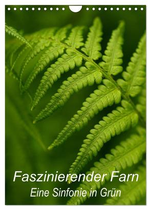 Faszinierender Farn – Eine Sinfonie in Grün (Wandkalender 2024 DIN A4 hoch), CALVENDO Monatskalender von Brigitte Deus-Neumann,  Dr.