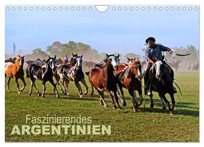 Faszinierendes Argentinien (Wandkalender 2024 DIN A4 quer), CALVENDO Monatskalender von Zillich,  Bernd