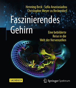 Faszinierendes Gehirn von Anastasiadou,  Sofia, Beck,  Henning, Meyer zu Reckendorf,  Christopher