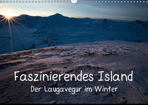 Faszinierendes Island (Wandkalender 2018 DIN A3 quer) von Tschöpe,  Frank