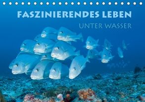 Faszinierendes Leben unter Wasser (Tischkalender 2018 DIN A5 quer) von Peyer,  Stephan