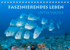 Faszinierendes Leben unter Wasser (Tischkalender 2023 DIN A5 quer) von Peyer,  Stephan