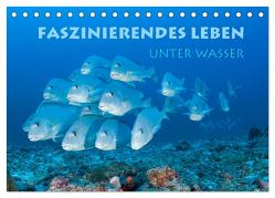 Faszinierendes Leben unter Wasser (Tischkalender 2024 DIN A5 quer), CALVENDO Monatskalender von Peyer,  Stephan