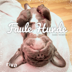 Faule Hunde von Trompka,  Hansi