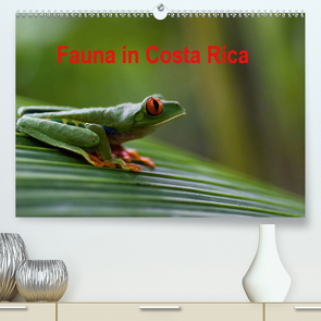 Fauna in Costa Rica (Premium, hochwertiger DIN A2 Wandkalender 2021, Kunstdruck in Hochglanz) von Bussenius,  Beate