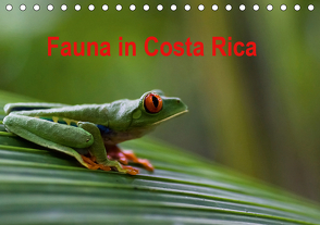 Fauna in Costa Rica (Tischkalender 2021 DIN A5 quer) von Bussenius,  Beate