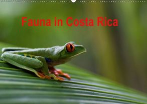 Fauna in Costa Rica (Wandkalender 2019 DIN A2 quer) von Bussenius,  Beate