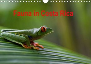 Fauna in Costa Rica (Wandkalender 2019 DIN A4 quer) von Bussenius,  Beate