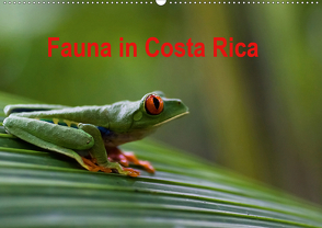 Fauna in Costa Rica (Wandkalender 2020 DIN A2 quer) von Bussenius,  Beate