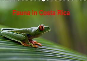 Fauna in Costa Rica (Wandkalender 2021 DIN A2 quer) von Bussenius,  Beate