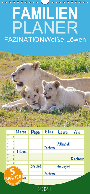 FAZINATION Weiße Löwen – Familienplaner hoch (Wandkalender 2021 , 21 cm x 45 cm, hoch) von Thula