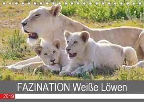 FAZINATION Weiße Löwen (Tischkalender 2019 DIN A5 quer) von Thula