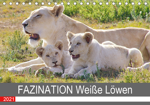 FAZINATION Weiße Löwen (Tischkalender 2021 DIN A5 quer) von Thula
