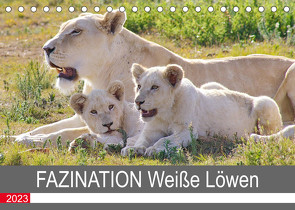 FAZINATION Weiße Löwen (Tischkalender 2023 DIN A5 quer) von Thula