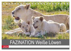 FAZINATION Weiße Löwen (Tischkalender 2024 DIN A5 quer), CALVENDO Monatskalender von Thula,  Thula