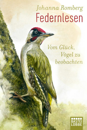 Federnlesen von Romberg,  Johanna