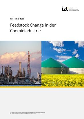 Feedstock Change in der Chemieindustrie von Behrendt,  Siegfried