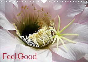 Feel Good (Posterbuch DIN A4 quer) von AnBe,  by