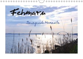Fehmarn – Bewegende Momente (Wandkalender 2018 DIN A4 quer) von Giesecke,  Petra