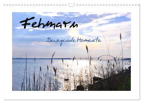 Fehmarn – Bewegende Momente (Wandkalender 2024 DIN A3 quer), CALVENDO Monatskalender von Giesecke,  Petra