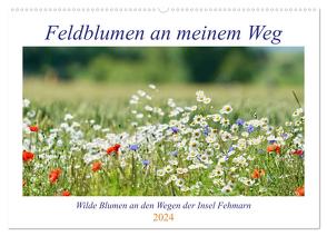 Feldblumen an meinem Weg (Wandkalender 2024 DIN A2 quer), CALVENDO Monatskalender von Kaminski,  Ida