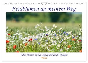 Feldblumen an meinem Weg (Wandkalender 2024 DIN A4 quer), CALVENDO Monatskalender von Kaminski,  Ida