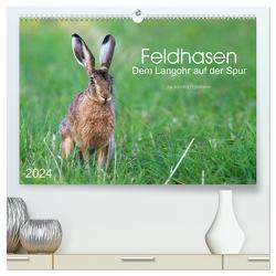 Feldhasen – dem Langohr auf der Spur (hochwertiger Premium Wandkalender 2024 DIN A2 quer), Kunstdruck in Hochglanz von Eigenheer,  Sandra