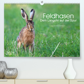 Feldhasen – dem Langohr auf der Spur (Premium, hochwertiger DIN A2 Wandkalender 2021, Kunstdruck in Hochglanz) von Eigenheer,  Sandra