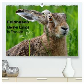 Feldhasen – Meister Lampe in Franken (hochwertiger Premium Wandkalender 2024 DIN A2 quer), Kunstdruck in Hochglanz von Bachmeier,  Günter