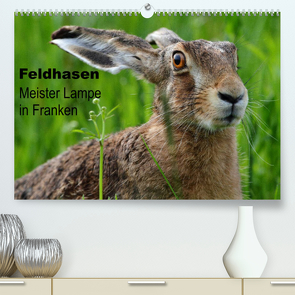 Feldhasen – Meister Lampe in Franken (Premium, hochwertiger DIN A2 Wandkalender 2023, Kunstdruck in Hochglanz) von Bachmeier,  Günter