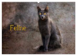 Feline (Wandkalender 2024 DIN A2 quer), CALVENDO Monatskalender von Möckel / Lucy L!u,  Claudia