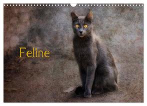 Feline (Wandkalender 2024 DIN A3 quer), CALVENDO Monatskalender von Möckel / Lucy L!u,  Claudia