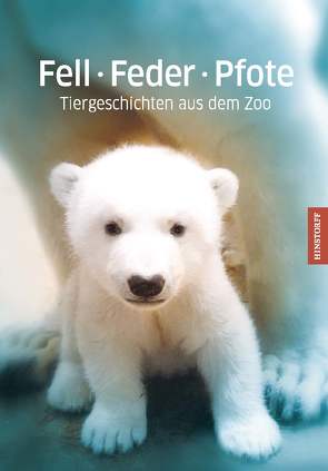 Fell · Feder · Pfote von Bluhm,  Dörte