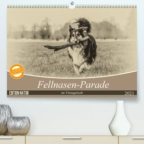 Fellnasen-Parade im Vintagelook (Premium, hochwertiger DIN A2 Wandkalender 2021, Kunstdruck in Hochglanz) von Teßen,  Sonja