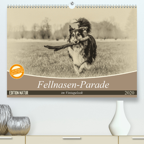 Fellnasen-Parade im Vintagelook (Premium, hochwertiger DIN A2 Wandkalender 2020, Kunstdruck in Hochglanz) von Teßen,  Sonja